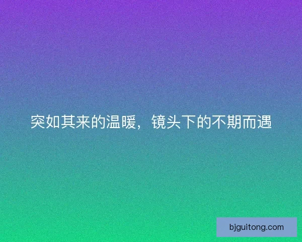 突如其来的温暖，镜头下的不期而遇