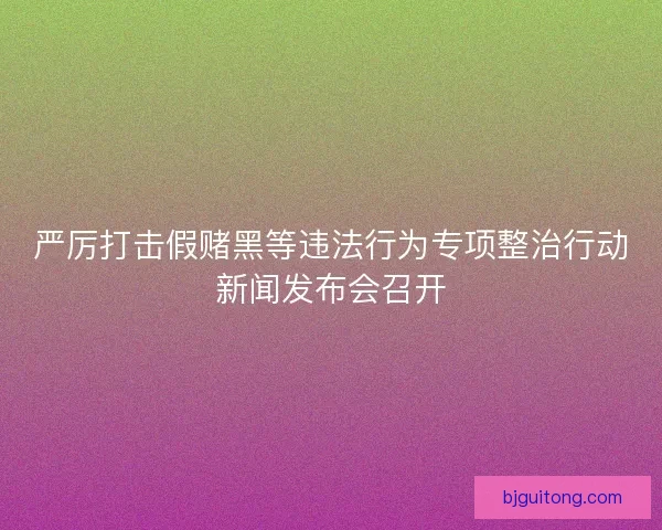严厉打击假赌黑等违法行为专项整治行动新闻发布会召开